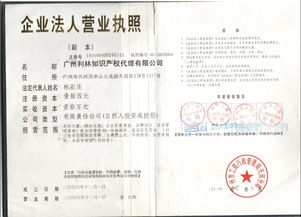 利林专业代理 一站式企业注册与知识产权服务专家